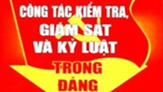 Khai trừ Đảng 1 Chủ tịch huyện, cách chức 7 cán bộ ở Hà Tĩnh