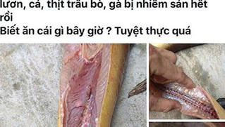 Cô giáo bị nhắc nhở vì đưa tin thất thiệt thịt gà, thịt bò nhiễm sán 