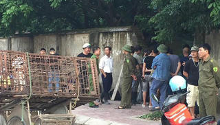 Công an bắt đàn chó cắn tử vong bé trai 7 tuổi