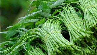 Những loại rau không nên ăn nhiều vào mùa hè