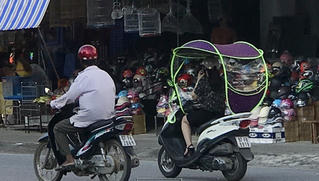 'Đua nhau' gắn mái che xe máy, đối diện mức phạt tiền triệu 