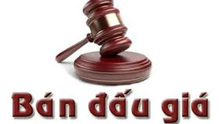 Thông báo Bán đầu giá quyền sử dụng đất tại TP Hòa Bình
