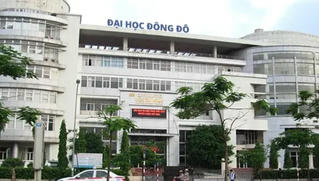 Bắt nữ cán bộ trường Đại học Đông Đô