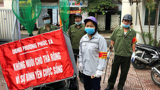 Hà Nội lập 14 đội bắt chó thả rông