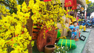 Loạt chương trình ý nghĩa mừng Tết Nguyên đán 2021 tại TP HCM