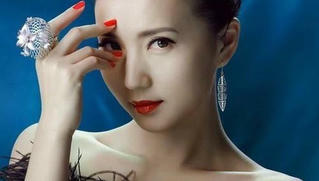 'Mỹ nhân vạn người mê' bị nghi ngờ về học hàm giáo sư