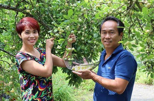 Bí quyết 'trốn' trong nhà tránh dịch của cặp vợ chồng Việt