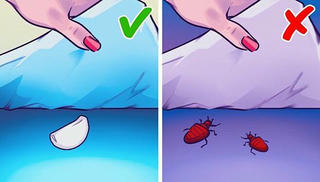 Lý do nên đặt tỏi dưới gối khi ngủ