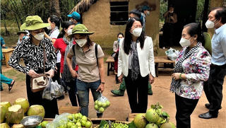 Từ tháng 11, TP HCM mở lại du lịch liên tỉnh