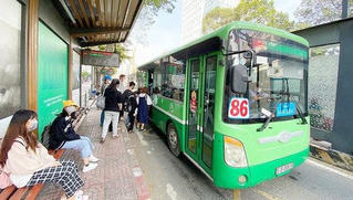 TP HCM mở lại hầu hết các tuyến xe buýt trợ giá sau 15/11?