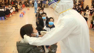 Tăng nhanh ca cộng đồng, Hà Nội 'siết' phòng dịch tàu điện trên cao, xét nghiệm tầm soát cho học sinh