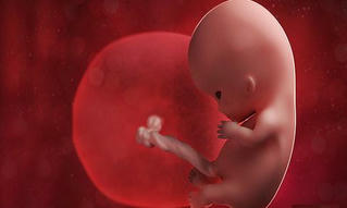 Sót nhau thai sau sinh: Nguyên nhân, triệu chứng và cách xử lý