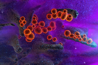 Chuyên gia cảnh báo xuất hiện biến chủng nguy hiểm hơn Omicron