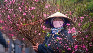 Đợt không khí lạnh này Hà Nội thấp nhất bao nhiêu độ?
