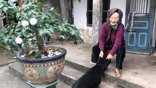 Cụ bà hạnh phúc nhất Việt Nam: 108 tuổi, có 114 cháu, chắt