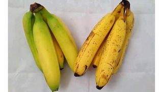 Tiểu thương chỉ cách nhận biết chuối nhúng hóa chất để ép chín