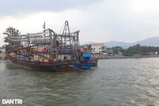 Một chủ nợ nghi bị ném xuống biển mất tích