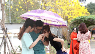 Chị em 'đổ xô' check-in đường hoa phong linh mới khi địa điểm cũ đóng cửa