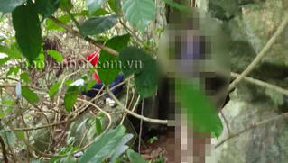 Đối tượng gây án mạng kinh hoàng ở Yên Bái đã tử vong