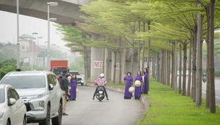 Đùa giỡn tử thần, đứng giữa đường để chụp ảnh cùng hàng cây bàng Đài Loan