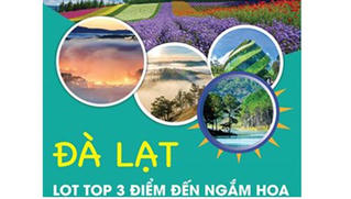 Đà Lạt lọt top 3 điểm đến ngắm hoa đẹp nhất thế giới