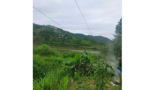 Câu cá gần đường điện, một người tử vong