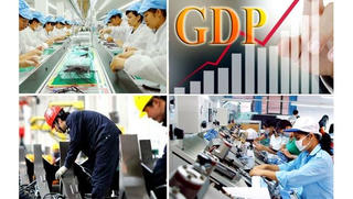 Hôm nay bắt đầu tổng điều tra doanh nghiệp trên cả nước