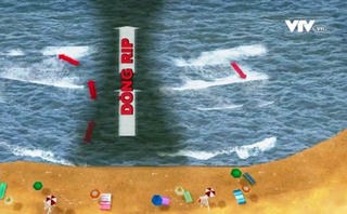 'Kẻ giết người' thầm lặng khi tắm biển