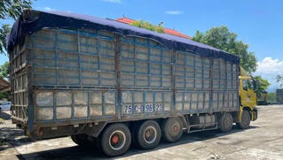 Xác minh thông tin nghi CSGT ở Quảng Trị đánh tài xế gãy xương sườn