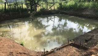3 cháu nhỏ tử vong thương tâm dưới ao nước