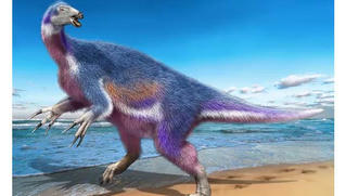 Công bố hình ảnh quái vật 5 màu chưa từng thấy trên thế giới