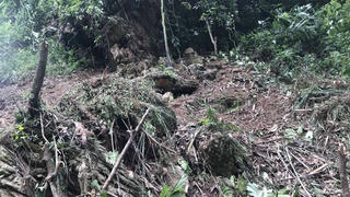 Đá lăn đè chết người phụ nữ đang làm cỏ trên nương