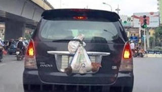 Che biển số xe để tránh 'phạt nguội', bị xử lý thế nào?