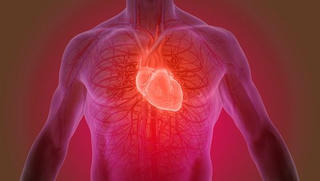 Loại keo thần kỳ có thể ‘vá’ tim bị tổn thương