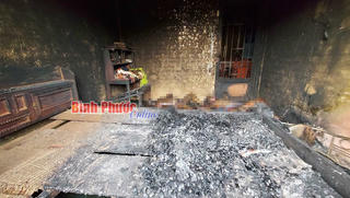 Phát hiện 2 phụ nữ chết cháy và người đàn ông hôn mê bên chai thuốc sâu