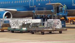 Tạm đình chỉ ngay công việc nhân viên hàng không buôn lậu, vận chuyển người trái phép 