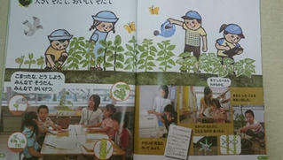 Chính sách sử dụng sách giáo khoa ở các nước