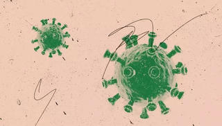 4 triệu chứng thường gặp khi mắc biến thể Omicron BA.5