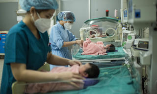 Những 'bông hồng thép' ngành Y