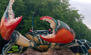 'Kéo khách' về Cà Mau thưởng thức 69 món ăn từ Cua