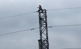 Cứu cô gái trẻ không mặc quần áo leo lên trụ điện cao thế