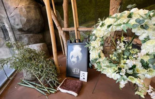 Trung Quốc và Mỹ hợp tác điều tra cái chết của gấu trúc Lạc Lạc