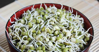 Những thực phẩm nảy mầm có giá trị dinh dưỡng cao gấp đôi