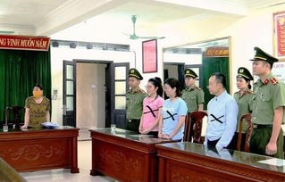 2 giám đốc doanh nghiệp ở Ninh Bình bị khởi tố