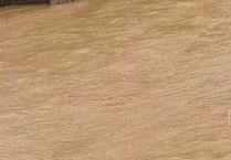 Vỡ đập ở Yemen