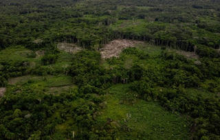 Bốn trẻ em sống sót thần kỳ trong rừng sau 17 ngày máy bay rơi ở Colombia