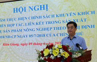 Kiên Giang khuyến khích liên kết trong sản xuất và tiêu thụ sản phẩm nông nghiệp 