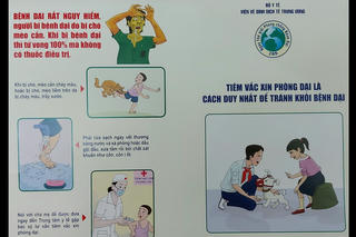 2 trẻ em tử vong do chó dại cắn ở Gia Lai