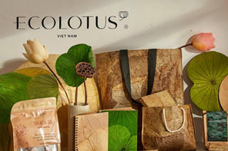 Đồng Tháp phê duyệt 2 đề tài khoa học và công nghệ về sen 