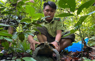 Chủ tịch Quảng Nam yêu cầu xử lý nghiêm nạn buôn bán trái phép động vật hoang dã